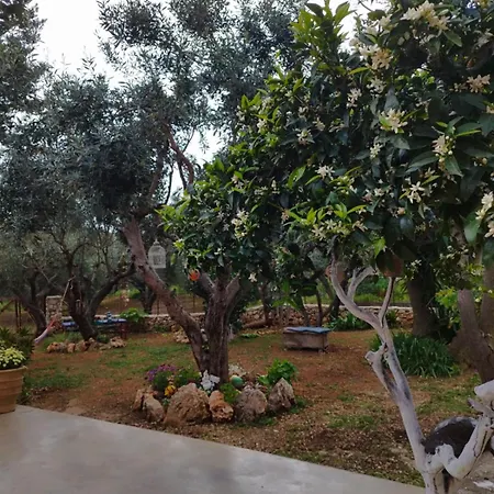 Feriehus Iliopetra *