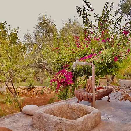 Iliopetra Agios Nikolaos (Zakynthos)