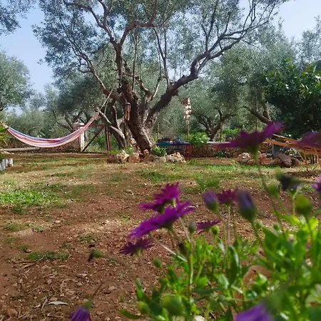 Jenoa, Sealight House Vakantiehuis