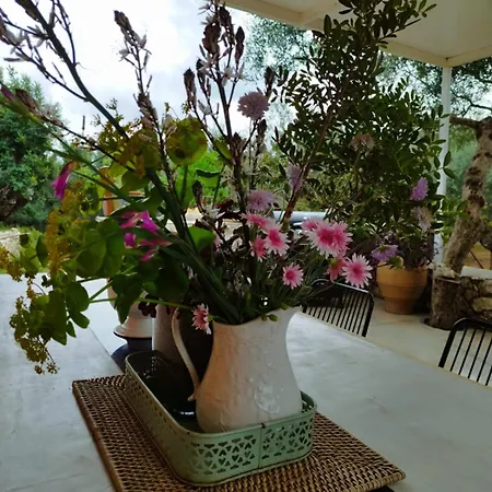 Jenoa, Sealight House Vakantiehuis