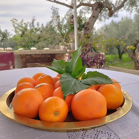 בית נופש Iliopetra