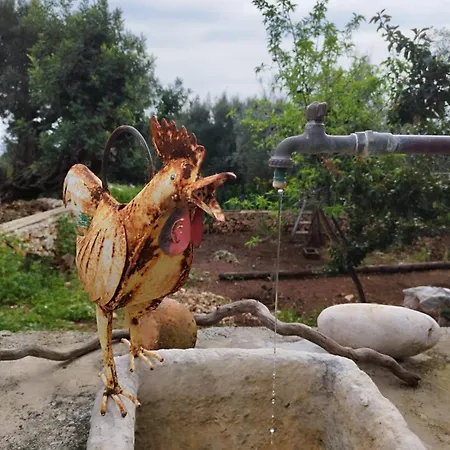 בית נופש Iliopetra אגיוס ניקולאוס