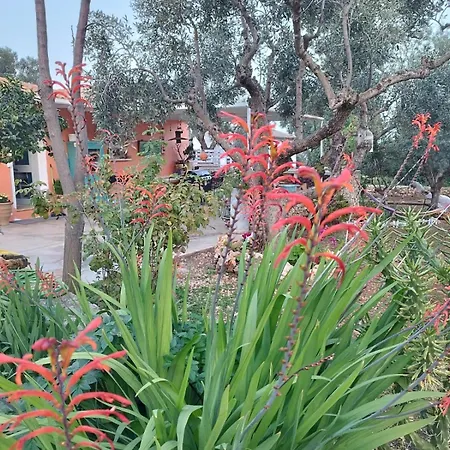 Iliopetra Casa de Férias