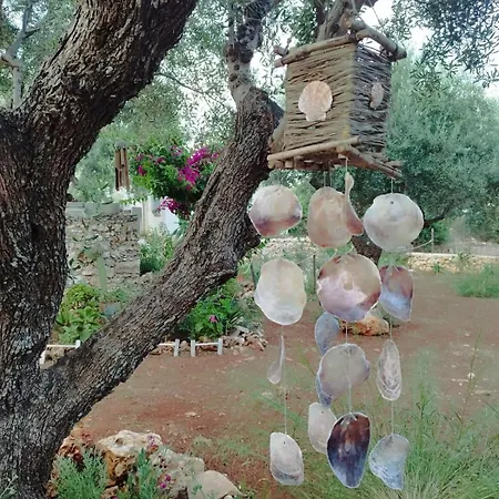 Iliopetra בית נופש