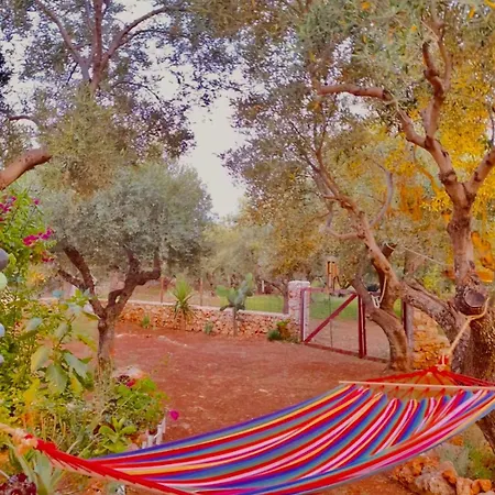 בית נופש Iliopetra