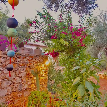 Iliopetra בית נופש אגיוס ניקולאוס