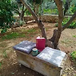 Iliopetra Дом отдыха *