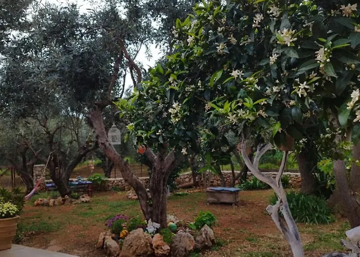 펜션 Iliopetra *